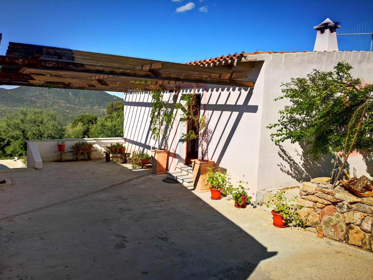 Villa Sa Pruna Oliena Bagian luar foto