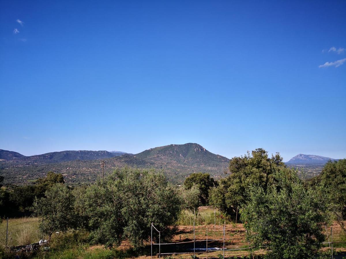 Villa Sa Pruna Oliena Bagian luar foto