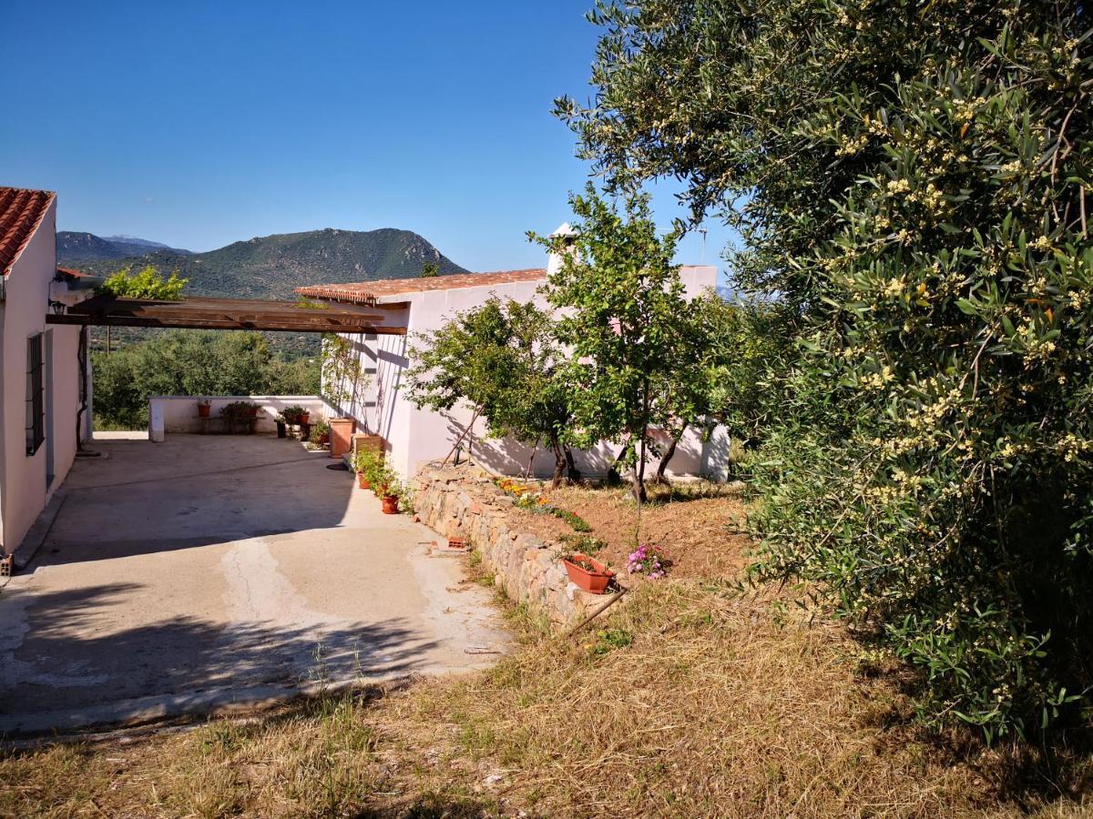 Villa Sa Pruna Oliena Bagian luar foto