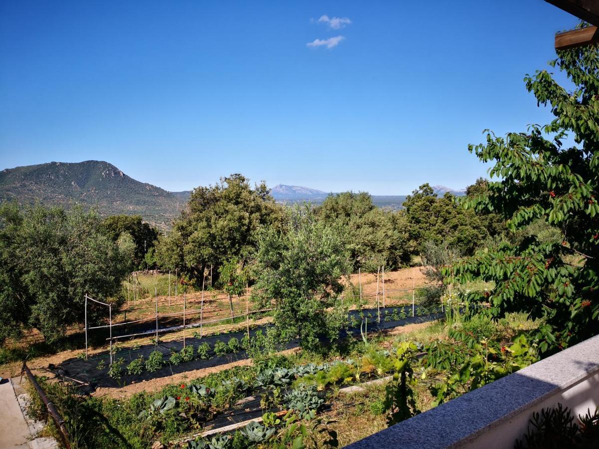 Villa Sa Pruna Oliena Bagian luar foto