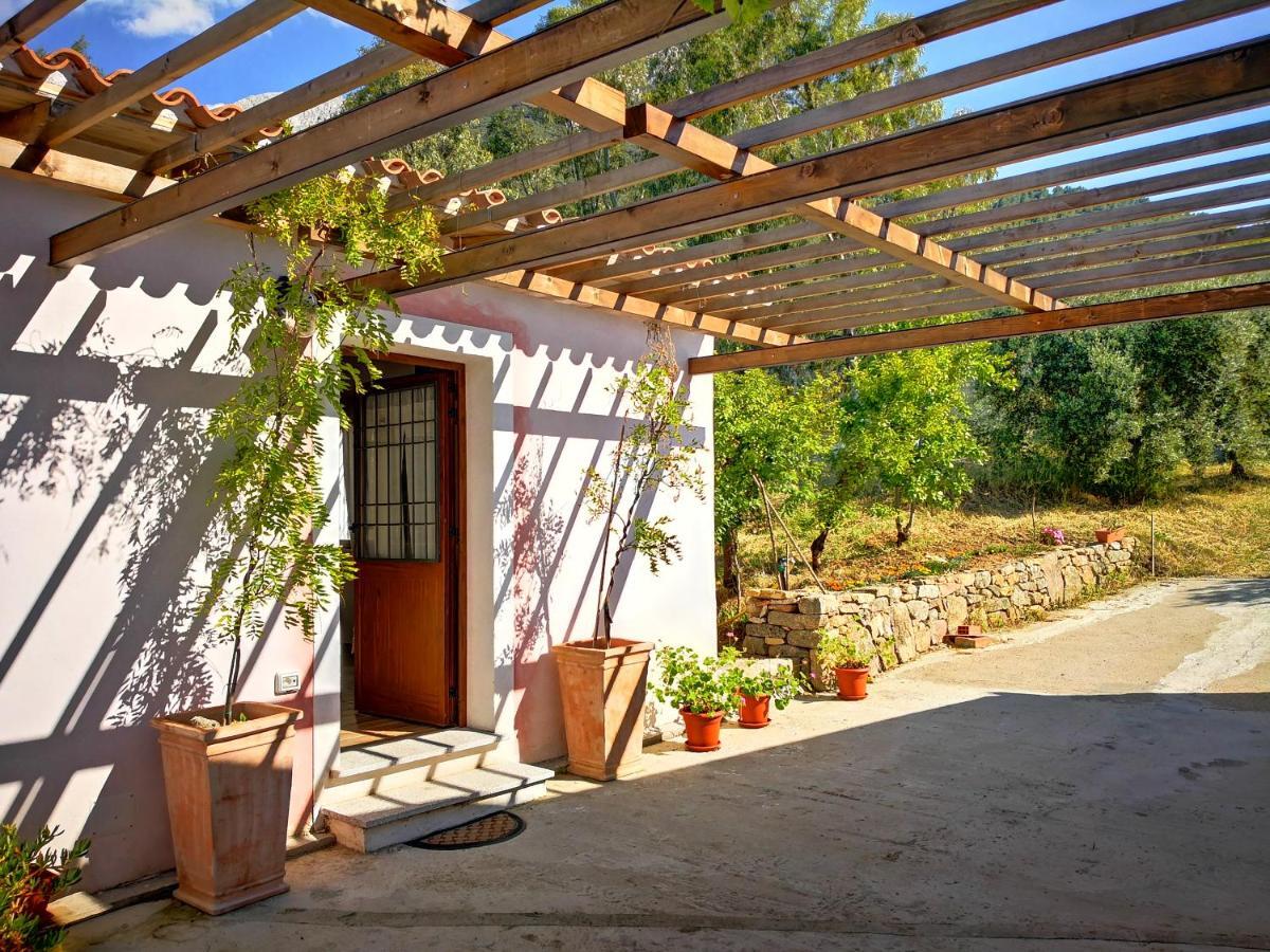 Villa Sa Pruna Oliena Bagian luar foto