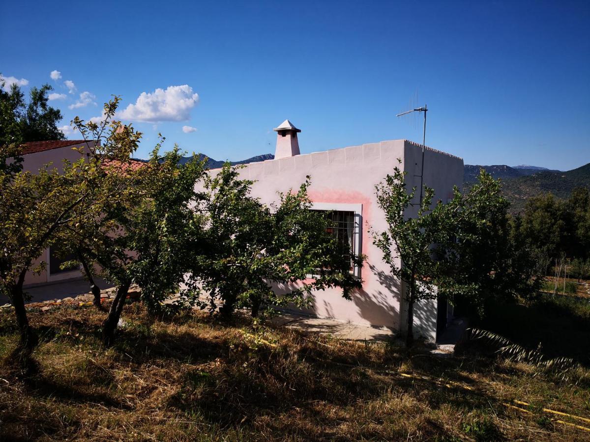 Villa Sa Pruna Oliena Bagian luar foto